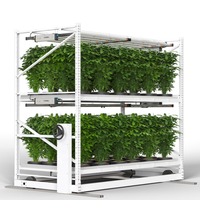 Étagères à 3 niveaux Banc roulant avec panneaux ABS Système hydroponique Serre Système de culture de micro-légumes Étagère de culture verticale