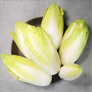 Hete Verkoop Hoge Kwaliteit Cichorei Extract Food Grade Cichorei Wortel Extract Cichorei Extract Poeder Met Beste Prijs Andijvie Poeder - Product Image 4