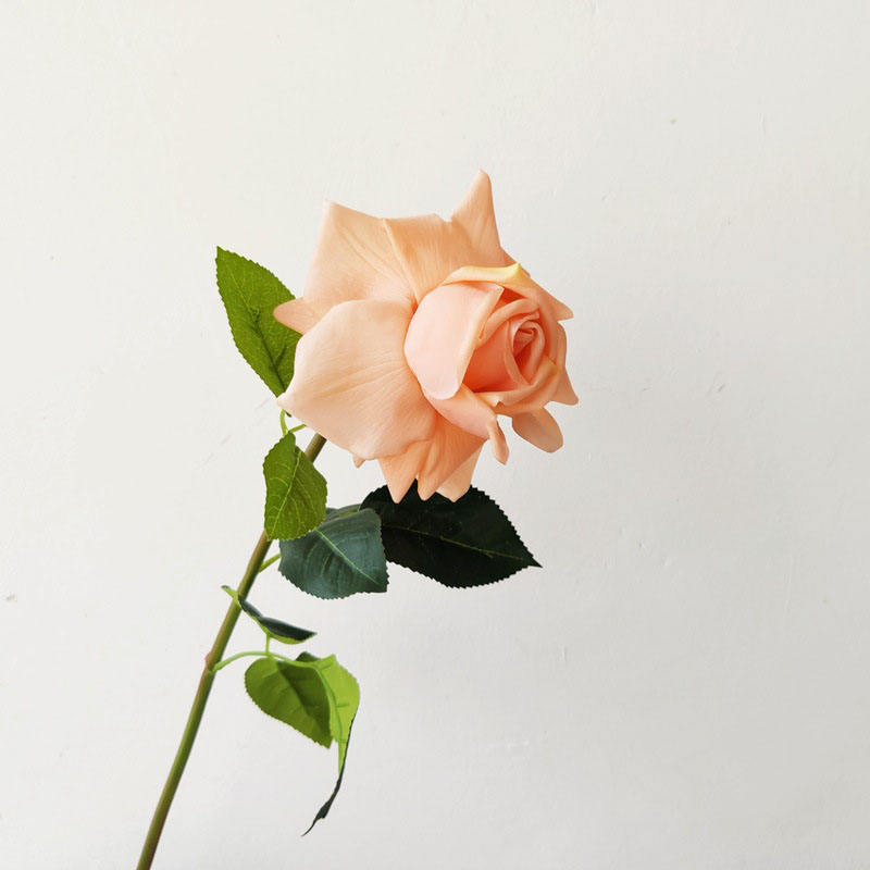 # สีส้มอ่อน 3 อัน