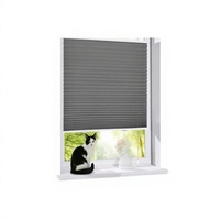 Store plissé sans perçage Klemmfix, protection solaire, occultant, Easyfix, translucide, en polyester, fabriqué en Chine, pour fenêtres/portes