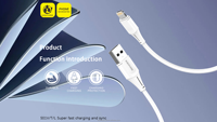 Câble de données USB 3.0 à charge rapide SASATHREE abordable de 1 m, Type-C de l'usine source 6A