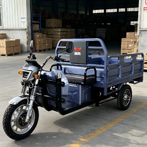 OFERTA 2026: Triciclo de 3 Ruedas con 60V 1500W de Gran Potencia para Personas Mayores, Capacidad de Carga de 600 kg, Precio de China - Product Image 1