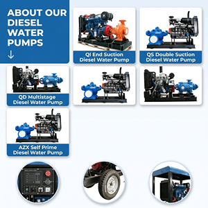 Pompa Acqua Diesel per Impieghi Gravosi Serie QI, Pompa Centrifuga Monostadio, Portata 3.8-1200 M³/h, Garanzia 3 Anni per Grandi Impianti - Product Image 6