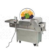 Plak Mango Drogen Snijapparatuur Droog Fruit Snijmachine Met 500Kg Motor Groente & Kokosnoot Dicer Machine