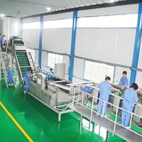 Solution clé en main pour la machine de fabrication de jus de raisin/vin Ligne de production de concentré de jus NFC de raisin