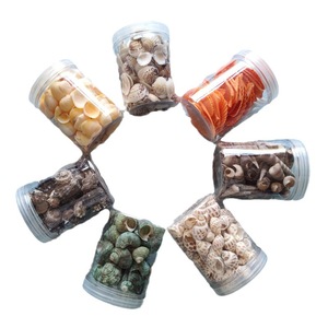 Bán Buôn DIY Trang Trí Nội Thất Nhỏ Sò Vỏ Thủ Công Mỹ Nghệ Động Vật Cho Aquarium Cảnh Seashells Thủ Công Mỹ Nghệ Chai Đóng Gói - Product Image 3