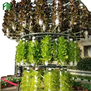 Système de culture hydroponique verticale FM DIY pour plantes d'intérieur, jardin d'ananas, tour aéroponique pour <span class=keywords><strong>balcon</strong></span>, vente chaude - Product Image 2