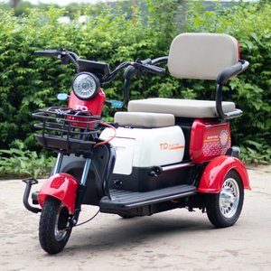 600w/800w/1000w電気三輪車3席家族と大人のため - Product Image 4