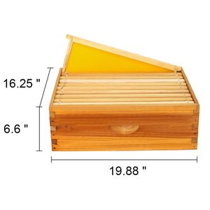 Colmena Langstroth Súper Mediana de 10 Cuadros, Nueva Condición, Caja de Abejas con Cera de Abeja 100% Inmersa, Colmena de Madera para Abejas - Product Image 2