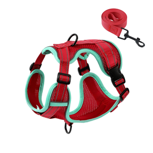 Correa de Plástico para Perro con Arnés Integrado, Retráctil Automática, Antiexplosión, Ecológica, con Estampado, para Razas Pequeñas - Product Image 6
