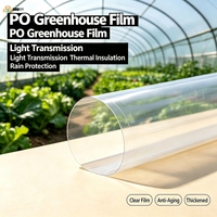 Film de serre PO 150 microns anti-buée, anti-goutte, résistant aux UV, couverture plastique agricole pour la culture de légumes