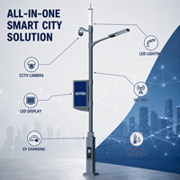 Poste de Alumbrado Público Inteligente con Cámara PTZ HD, Pantalla LED, Carga para Vehículos Eléctricos, Infraestructura Inteligente Personalizada para Ciudades