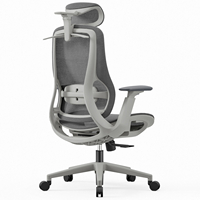 Support direct usine pour la personnalisation, la configuration et la couleur. Chaises de bureau ergonomiques, chaises de direction et chaises d'étude.