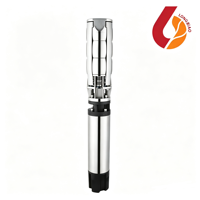 Pompe solaire submersible AC à grand débit de 10 pouces pour puits profond, pompe solaire industrielle pour forage, pour l'approvisionnement en eau des zones éloignées
