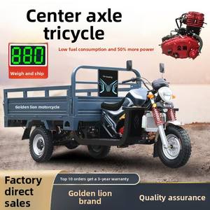 Motocicleta de Tres Ruedas Motorizada Personalizada con Eje Central, <span class=keywords><strong>Triciclo</strong></span> de Carga a Gasolina Golden Lion - Product Image 2
