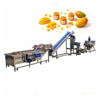 Équipement complet de production de confiture de mangue : machine de cuisson, de mélange et de remplissage sous vide pour usine de fruits tropicaux