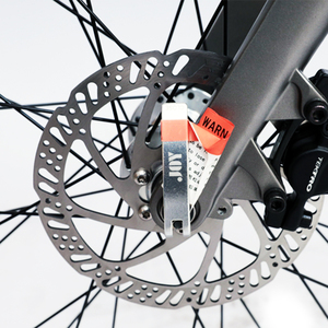 Vélo électrique de ville SHARK en aluminium 28 pouces pour hommes et femmes adultes, avec moteur de moyeu arrière 36V, personnalisé pour l'Europe - Product Image 3