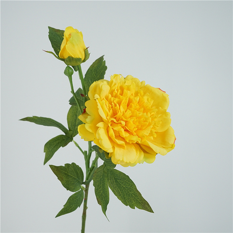 Yellow
