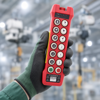 Télécommande radio pour grue à 12 boutons, double vitesse, étanche IP66, avec verrouillage de sécurité