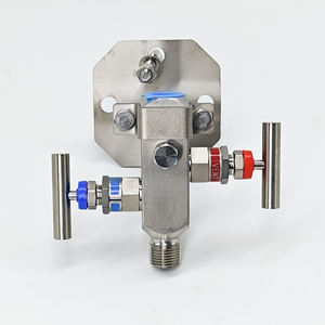 Accessori Yokogawa serie C13ST collettori valvola a 5 vie per trasmettitore di pressione a cinque valvole gruppo 5 valvole - Product Image 6