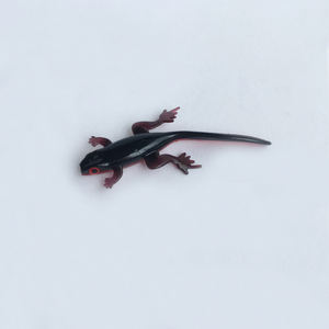 Señuelos <span class=keywords><strong>de</strong></span> cola larga Tadpole Artificial Lizard Frog Señuelo <span class=keywords><strong>de</strong></span> pesca - Product Image 2