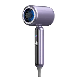 Manufacturers Hair Dryer Brushless Motor Ionic Blow Dryer with Diffuser Portable Hair Dryers