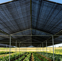 Filet d'ombrage anti-UV, toile occultante tricotée, filet de protection pour cultures agricoles, serres, jardins, fermes et volailles