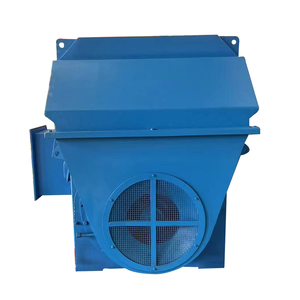 Customized 3.3kv Asynchronous Three Phase Induction Motor High Voltage AC Motor - Product Image 1