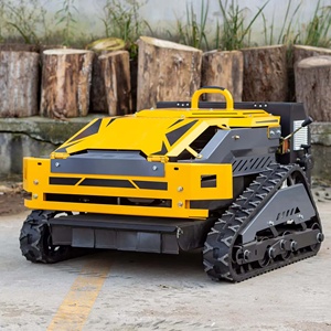 Cortadora de Césped Robótica Industrial con Control Remoto, Tracción por Orugas, Ancho de Corte de 55 cm, Motor de 4 Tiempos, Uso Agrícola, CE EPA, Envío Gratuito - Product Image 1