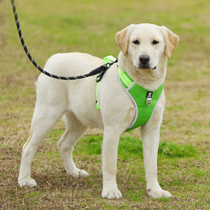 Imbracatura per gatti di Design personalizzato con colletto abbinato al guinzaglio papillon e Bandana Set gilet in Neoprene <span class=keywords><strong>XL</strong></span> reversibile per cani - Product Image 3