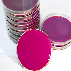 <span class=keywords><strong>Agar</strong></span> de Eosina y Azul de Metileno de 90 mm, Medio de Cultivo Microbiano para el Crecimiento Celular y Bacteriano - Product Image 2