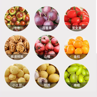 Fruit sorteermachine
