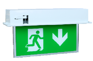 Dali 2 Nhà Máy Cung Cấp Romania Ý Hy Lạp Tây Ban Nha Thổ Nhĩ Kỳ salida Khẩn Cấp Dấu Hiệu Thoát Với Đèn Pin Trở Lại - Product Image 4