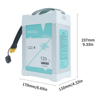 Batterie de drone intelligente 12S 22000mah 44.4V, batterie au lithium rechargeable pour accessoires de drone agricole 20L