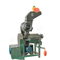 Extracteur de jus industriel à succès pour oignons et carottes, machine à broyer, presse-agrumes commercial pour fruits et légumes