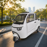 Nouvelle Arrivée Véhicule Électrique Automatique à Trois Roues 2 Places avec Cabine Fermée, Batterie au Plomb, Chariot Utilitaire pour Jardin et Ferme en Promotion