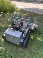 Tondeuse à fléaux de 800 mm, 1000 mm, 1200 mm, tondeuse à gazon à chenilles télécommandée avec certificat CE EPA pour les travaux de broussailles