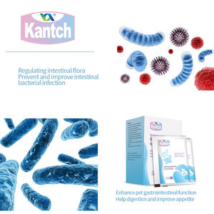 Réguler l'estomac améliorer l'appétit marque privée chien chat probiotiques suppléments nutritionnels - Product Image 4