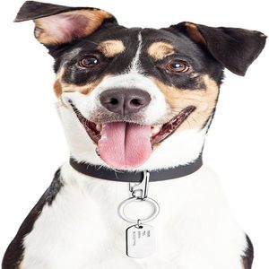 <span class=keywords><strong>Mini</strong></span> gancho elegante para llavero para mascotas | Sujetador de acero inoxidable en forma de D para etiquetas de perro y accesorios para gatos - Product Image 5