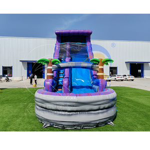 Tobogán de Agua de PVC Comercial Personalizable con Soplador para Uso en Interiores/Exteriores en Residencias, Escuelas y Centros Comerciales - Product Image 3