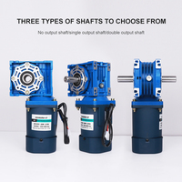 Moteur électrique monophasé 220V AC avec réducteur à vis sans fin NMRV40 autobloquant 60W, vitesse réglable, réversible