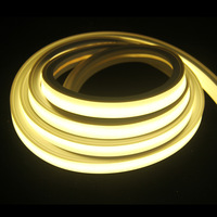 Bande lumineuse LED néon flexible en cuivre à éclairage frontal 1010, AC 24V, IP68, télécommande, couleur unique, pour usage intérieur et extérieur