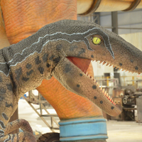 Cetnology Chine Fournisseur Réaliste Raptor Dinosaure Costume pour Affichage