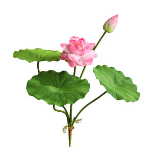 ดอกบัวประดิษฐ์ ยี่ห้อ Yihua Floral Art สีขาวและชมพู ทำจากผ้าไหม ตกแต่งบ้านสไตล์จีนเซน ก้านเดี่ยว รุ่น HH001 - Product Image 4