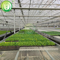 Bancs roulants de serre de table hydroponique NFT de haute qualité pour système de culture en serre