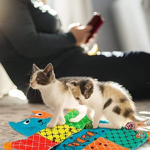 Çevre dostu sevimli yumuşak peluş kedi ped makinesi yıkanabilir kapalı kedi ve köpek interaktif Pet oyuncak kırışıklık kedi battaniye - Product Image 4