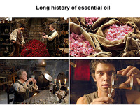Équipement de distillation d'huiles essentielles à bas prix, 1 tonne, machine d'extraction d'huiles essentielles de CBD