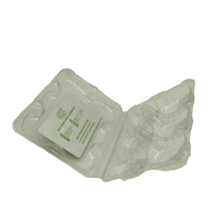 Nouveau produit boîte d'emballage de kiwis en plastique avec 6 trous séparateurs à clapet blister PET emballage à motif Rectangle Transparent