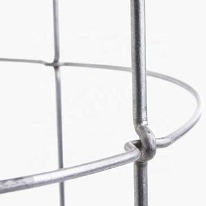 Cage de Support des plantes facile à utiliser, capsule pour tomate galvanisée avec attaches torsadées, accessoire pour plantes grimpantes, concombres, fleurs et légumes - Product Image 3