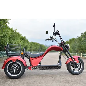 Thailand Sale Eec Scooter Citycoco Three Wheel Tricycle Electric For Handicapped Peoples